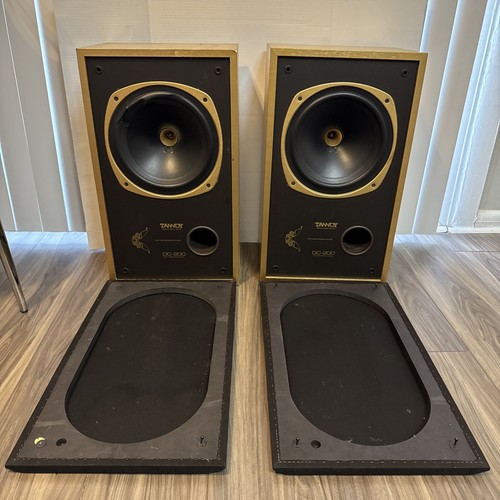 Tannoy 200 dual concentric - tannoy, dc-200