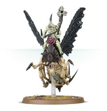 Nurgle Plague Drones Portatore