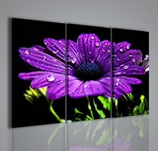 QUADRI MODERNI SUPERB FLOWER