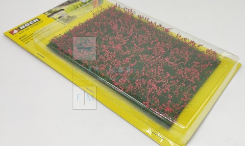 Noch 07257 tappeto - -, erboso