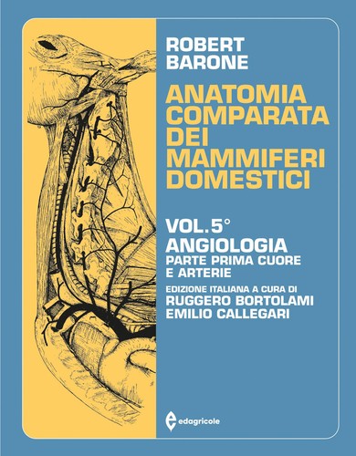 Anatomia comparata dei