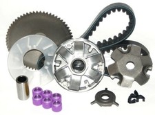 VARIATORE RULLI PULEGGIA