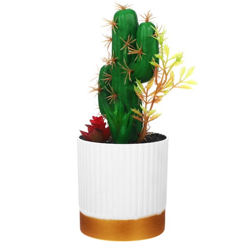 Simulazione decorazione cactus - simulazione,