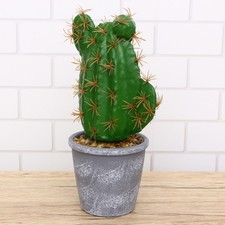 Artificiali in Vaso Pianta