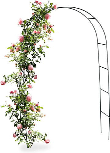 Arco per rose - arco, rose,