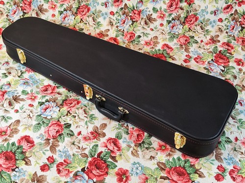 Custodia goccia per chitarra - custodia,