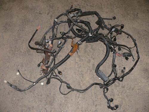 Cablaggio cablaggio motore