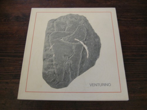 Venturino venturi schegge - venturi,