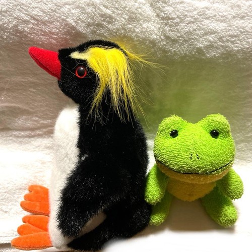 Raro set peluche - raro, set: