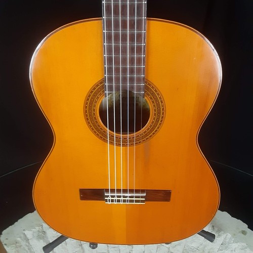 Suzuki 701 chitarra classica - suzuki,