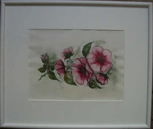 Monogr rose selvagge fiori - monogr.,
