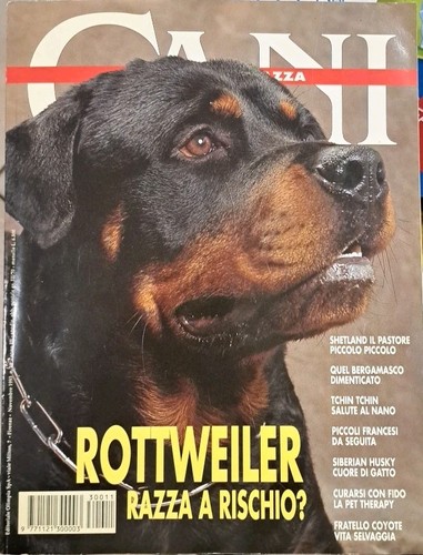 Cani rottweiler razza a - rottweiler,