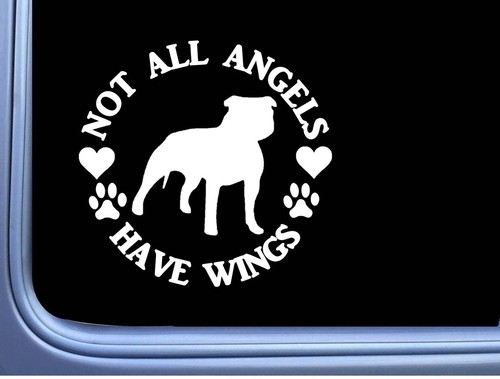 Adesivo bullo americano angel - bullo,