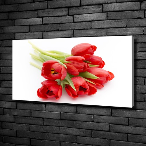 Tulup dipinto tela pittura - tulup, su