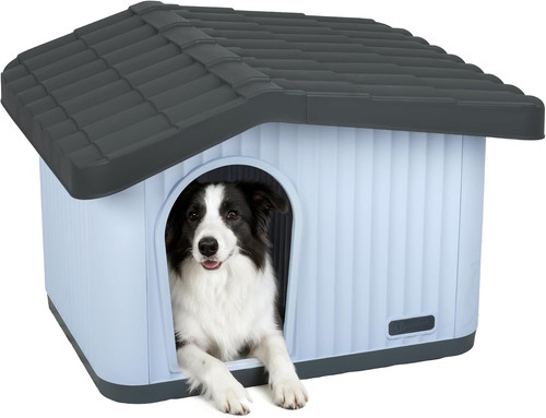 Cuccia per gatti - e, cani