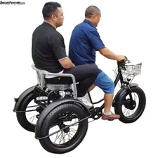 Triciclo elettrico da 20" 350W 48V, Biciclette elettriche 140kg, 35-50km E-trike