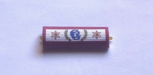 Nastrino guardia giurata bordo - guardia,