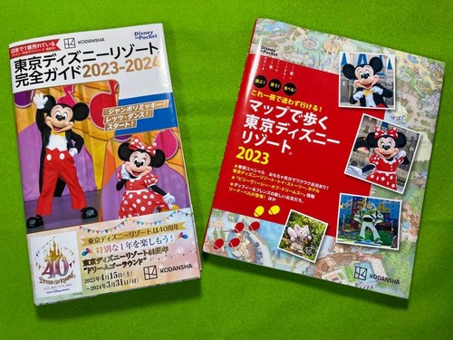 Tokyo disney resort - tokyo,