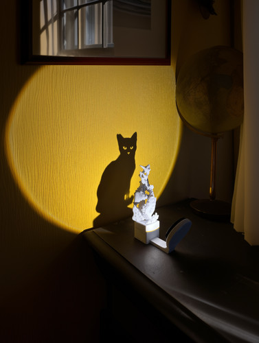Lampada ombra gatto - lampada,