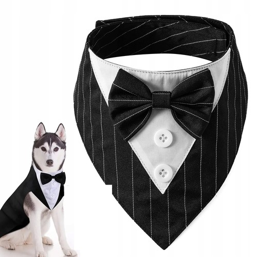 Completo papillon per - papillon,