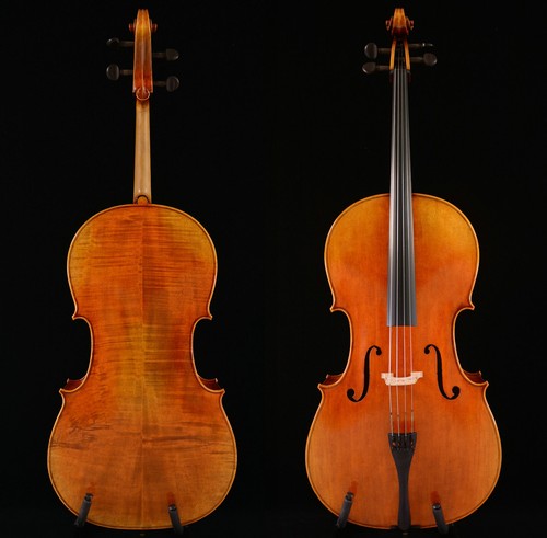 Violoncello master 4 - violoncello, 4/4