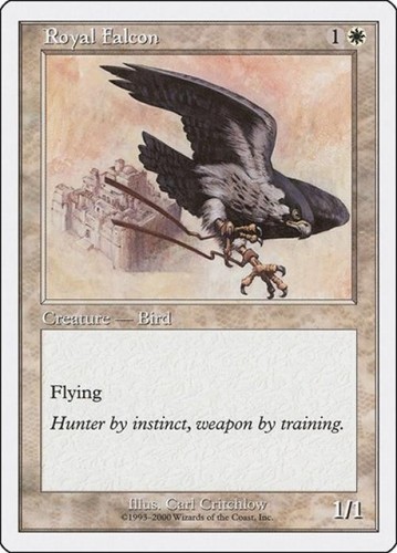 Royal falcon starter - royal, c