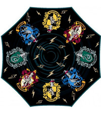Harry potter hogwarts - harry,