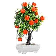  Albero Di Kumquat Simulato