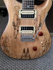Paul Reed Smith PRS SE CUSTOM