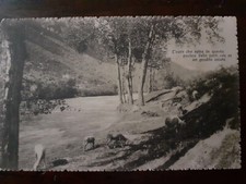 cartolina fiorenzuola d'arda