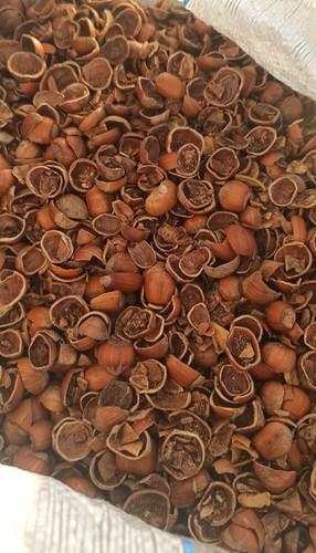 Pellet gusci nocciola test - pellet, di