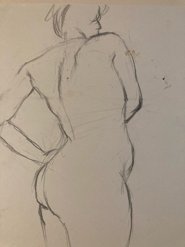 Bella disegno arte carboncino - bella,