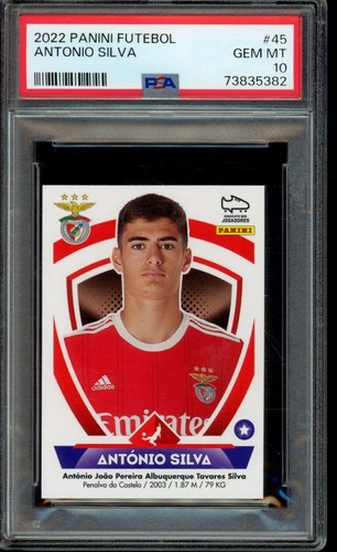 2022 panini futebol antonio - panini,