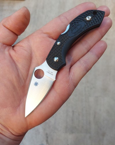 Spyderco dragonfly pocket - spyderco,