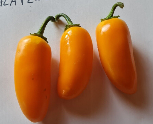 Semi peperoncino - di,
