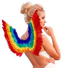 Ali piumate arcobaleno
