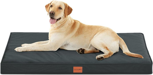 Cuccia cane taglia - cuccia,
