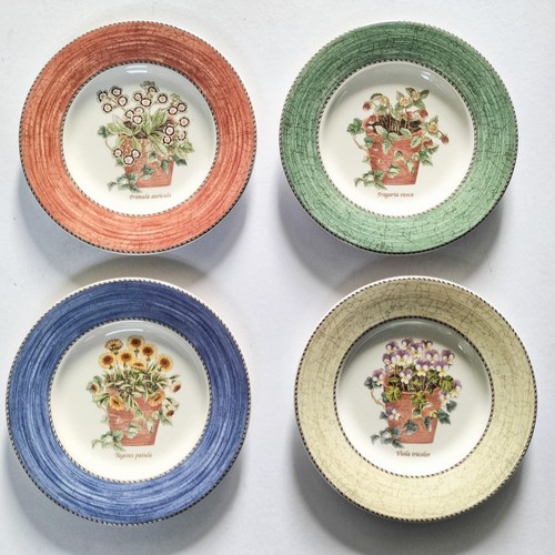 Wedgwood piatti per insalata - wedgwood,