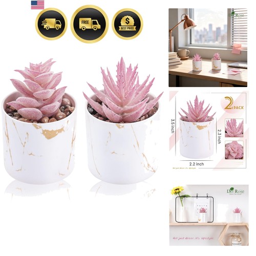 Set piante succulente - piante,