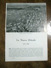 1950 ARTICOLO - LA NUOVA ZELANDA DI GINO NIBBI