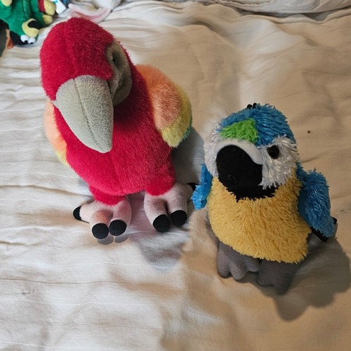 Set peluche pappagallo - set, 2