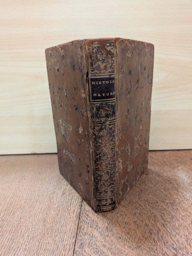 Libro antico buffon storia - antico,