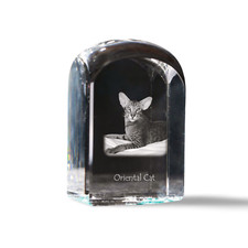 Orientale Gatto - Cubi