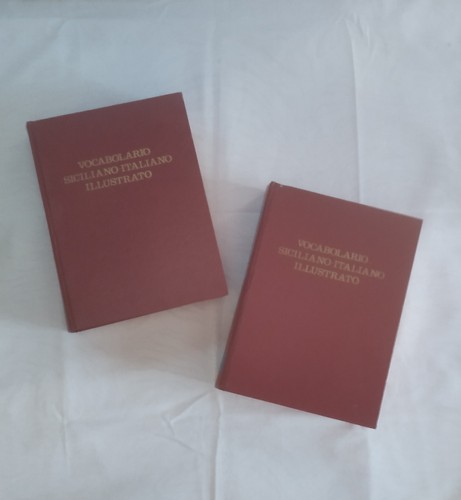 Vocabolario siciliano italiano - vocabolario,