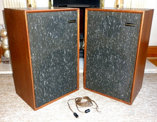 Rari altoparlanti audiofili