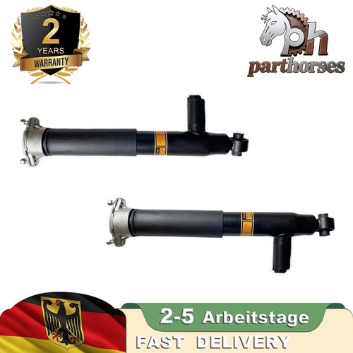 Ammortizzatori posteriori a - 2,
