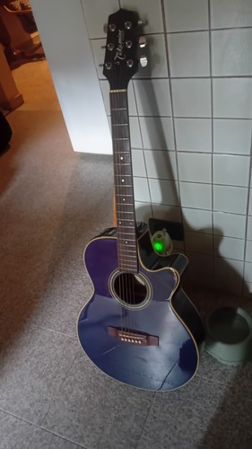 Takamine series chitarra - g,