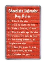Chocolate Labrador Dog Rules, Funny Dog Fridge Magnet Pet Animal Lover Gift