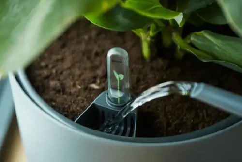 Inserto autoirrigante cm - autoirrigante, 15