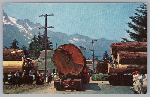 Logging truck train in - truck, &